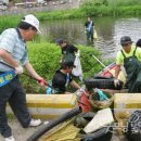 양지천 마평동 이미지