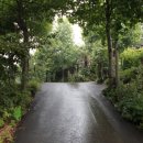 잎새바람 펜션 이미지