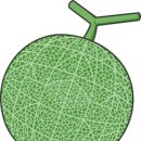 수신블루베리
