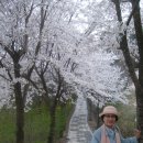 전라북도립미술관 이미지