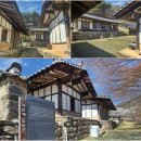 기룡산 등산로3 | 봄에도 아름다운 영천댐 벚꽃백리길에서 만난 수몰지역 문화재