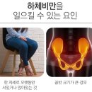 묵동-006 이미지