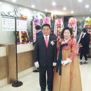 조엽래 Daum카페
