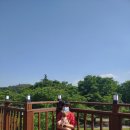 우디밸리 이미지