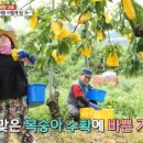 박용길 농장 네이버블로그