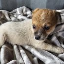 하대동271 이미지