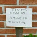 뽀바뽀바 이미지