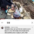 진딧물등 살충 농약 사용치 말고 계피 천연살충제 만들어 써보세요 직빵이라네요 ㅎ 이미지