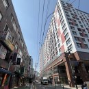 솔라고호텔 | [서울/명동/충무로] 위치 좋은 가성비 숙소 솔라고 명동 호텔&amp;레지던스 숙박 후기