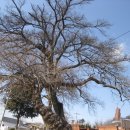 만경읍사무소 이미지