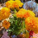 주식회사 아람 이미지