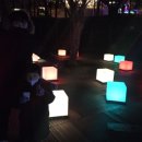 대가야반점 이미지