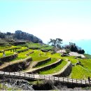 가천다랭이마을 이미지