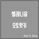 레오오토1 이미지