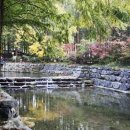 장태산휴양림 이미지