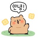 다온래쉬 이미지