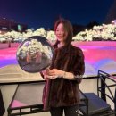 이미지연합치과의원 | 신사역 치과 레브치과 원데이치아미백 1주일 후기 내돈내산 할인정보