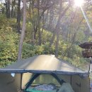 숲속캠핑장 이미지