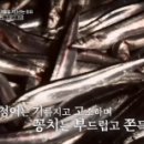 과메기 이미지