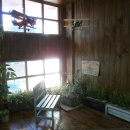 도봉-도봉-서울도봉-2153 이미지