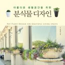 디자인물처럼 이미지