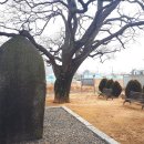 양성 석조여래입상 이미지