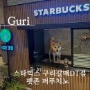스타벅스 구리갈매 DT | 반려견동반가능 스타벅스 구리갈매DT점 주차 퍼푸치노 후기