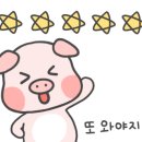 뽕차이 이미지