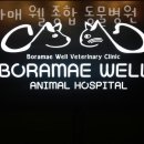 보라매웰종합동물병원 이미지