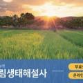 산촌개발민박 이미지