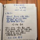 소3-62 Daum카페