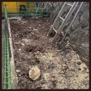 생각이 자라는 나무 | 군포단독주택 축대옆나무 벌목현장 작업후기