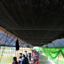 원동낚시터 이미지