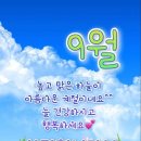 🌻몸이 아플 때 먹으면 좋은 음식들🌻 이미지