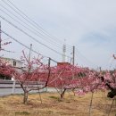 수야2리 경로당 이미지