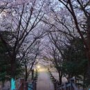 용인중앙공원_M 이미지