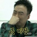 오랜만의 후기 모음zip(feat.닥터마틴 1460나파 8홀 외 각종 생활용품)