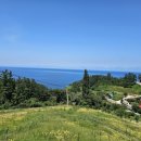 울릉도오션뷰펜션 이미지