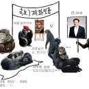 한국장 이미지