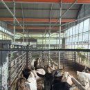 고목목장 이미지