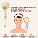 아르코코 이미지