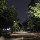 여의도본라인한의원 | 본라인 한의원 여의도다이어트한약 내돈내산 리얼후기_인바디 체중계