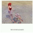 설리번교육