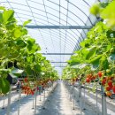 김진우농장 이미지