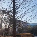 반달공원 주변 이미지