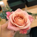 부흥중학교 정문 앞 이미지