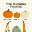 가을농장 이미지