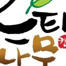 느티나무 캠핑장 이미지