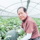 석정농장 이미지