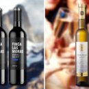 금영인터네셔날 이미지